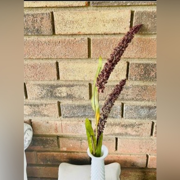 *Burgundy Millet Stem, Bundle of 3 - Picture 8 of 10